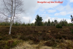 IMG_1507vv