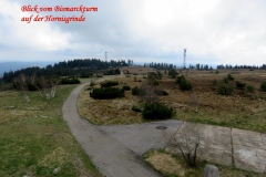 IMG_1512vv