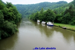 IMG_0595_1