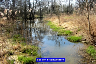 2017_03_26_So-Runde-AchstettenIMG_4129_1