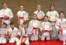 Zehn Judoka meistern Gürtelprüfung